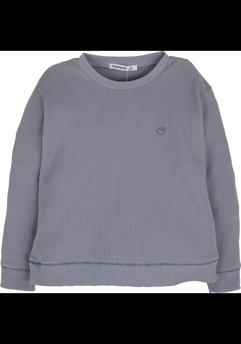 12666 Sweatshirt 1